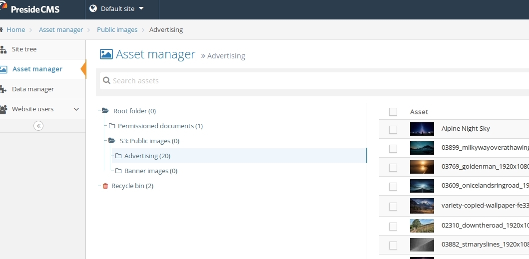 Screenshot showing asset manager homepage